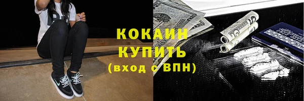 шишки Горняк