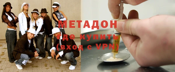 шишки Горняк