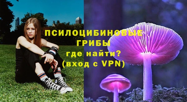 альфа пвп Вяземский