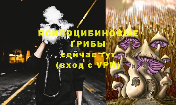 МДПВ Волоколамск