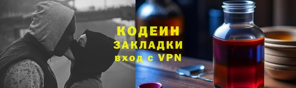 шишки Горняк